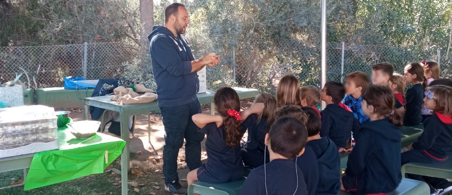 Οι μαθητές/-τριες της 1ης τάξης ΔΚΨ γίνονται αγρότες και μαθαίνουν για την ελιά