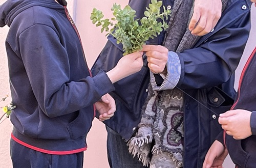 The "Herbs" Program at Psychico College Elementary School