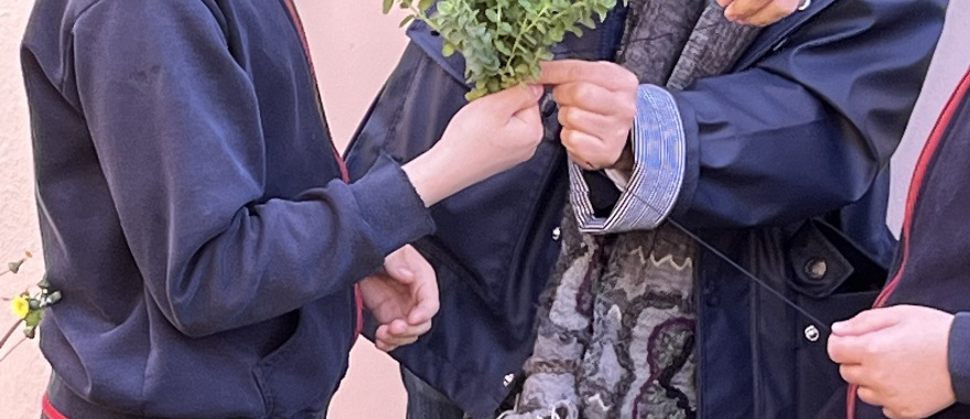 The "Herbs" Program at Psychico College Elementary School