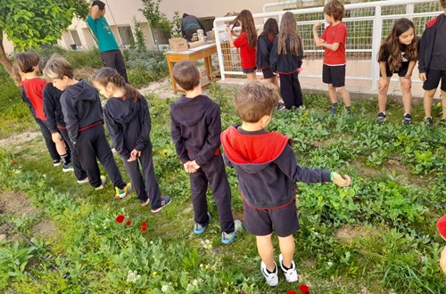 The lonely bee - An outdoor activity of Psychico College Grade 2 students