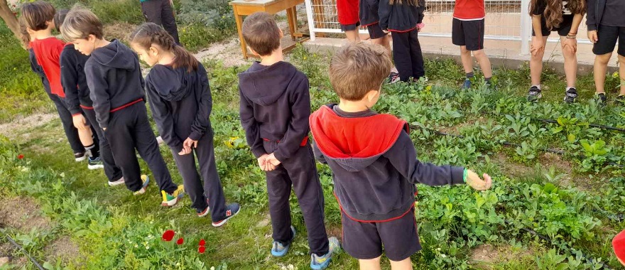 The lonely bee - An outdoor activity of Psychico College Grade 2 students