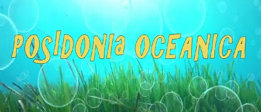 Young Journalists for the Environment International Competition 2024: 2nd place for Greece with Psychico College Elementary School video