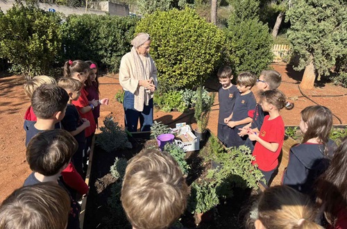 Psychico College Elementary School - Grade 2 Experiential Activity in the Botanic Garden