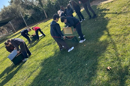 ΔΚΨ - Εκπαιδευτικό πρόγραμμα « Η μέλισσα της κυψέλης » - 2α τάξη