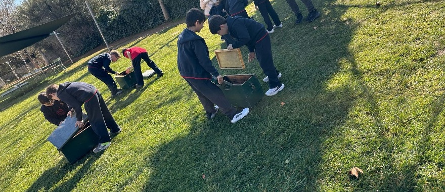 ΔΚΨ - Εκπαιδευτικό πρόγραμμα « Η μέλισσα της κυψέλης » - 2α τάξη