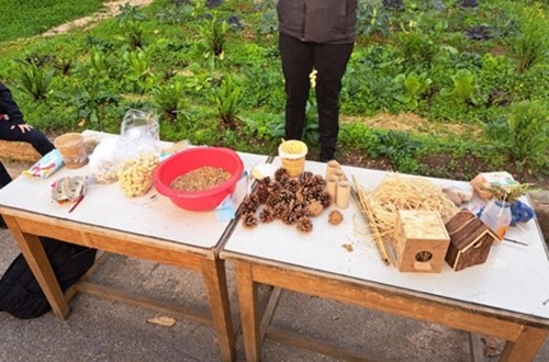 Psychico College Elementary Grade 2 – Bird Feeders Educational program