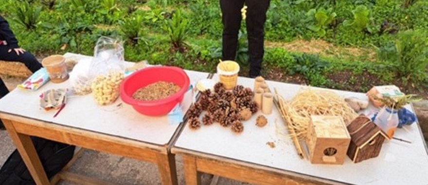 Psychico College Elementary Grade 2 – Bird Feeders Educational program