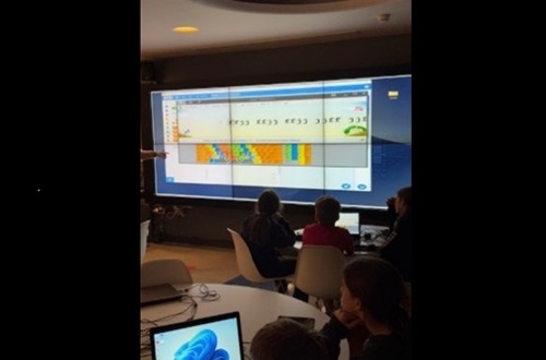 Psychico College Elementary School – Interdisciplinary project by the French and Informatics Departments: The need to protect the environment