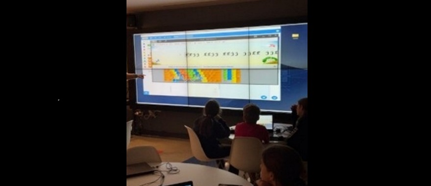 Psychico College Elementary School – Interdisciplinary project by the French and Informatics Departments: The need to protect the environment