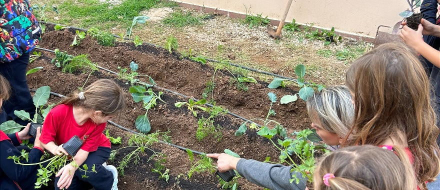 Autumn Vegetable Garden - Psychico College Grade 1 activity