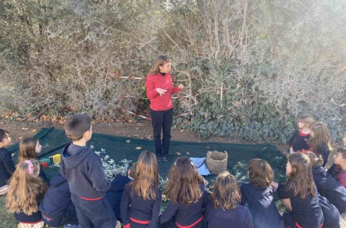 Psychico College Grade 1 - We produce olive oil in our garden
