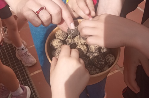 Psychico College Elementary School - "Seed Bombs" - Grade 1