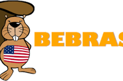 Psychico College Elementary School - Programming Club - Students excel in the Bebras Student Challenge in Informatics and Computational Thinking