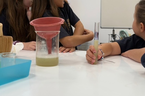 Psychico College Elementary School Grade 5 - Experiments in collaboration with Athens Polytechnic & Autumn vegetable garden