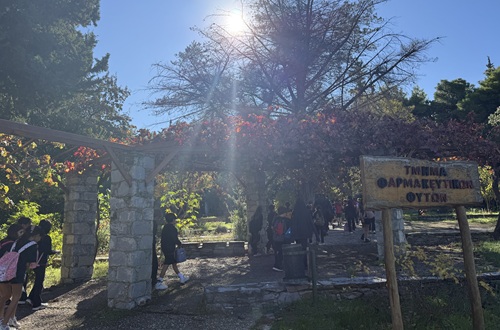 Psychico College Elementary School Grade 4 visits the J. & A.N. Diomedes Botanic Garden