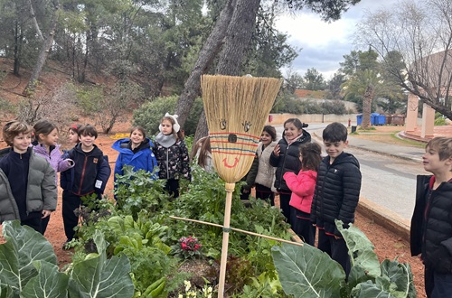 Psychico College Elementary School - Winter vegetable garden - Grade 1