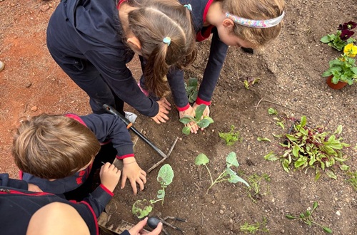 Psychico College Elementary School Grade 2 - "Getting to Know the Garden and Creating an Autumn Vegetable Garden at School"