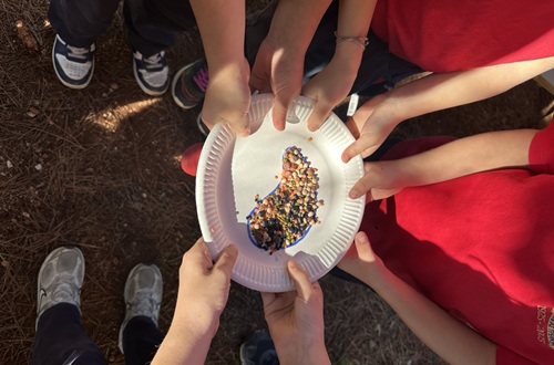 Psychico College Elementary School Grade 2 - Lesson in the vegetable garden: Legumes