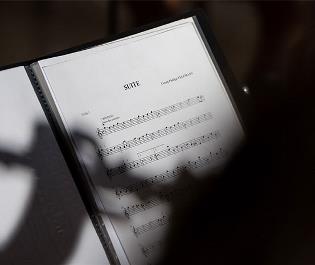 music events, 10 musical ensembles, 8 theater performances per year