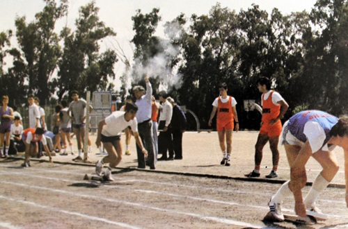 Δέλτεια1986