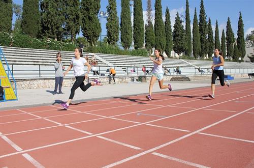 13η Κολλεγιάδα 2014