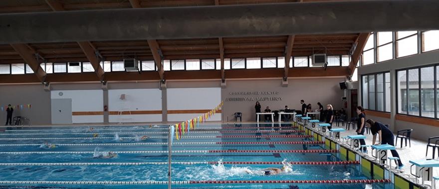 Εσωτερικοί Αγώνες Κολύμβησης Δημοτικών Σχολείων