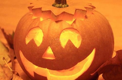 Halloween Bake Sale Invitation October 31rst