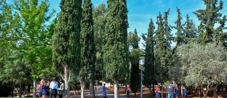 Κοινή περιβαλλοντική δράση μαθητών IBDP και Δημοτικού Κολλεγίου Ψυχικού στο Λάτσειο