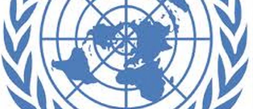 Platon School Model United Nations Conference 2017
