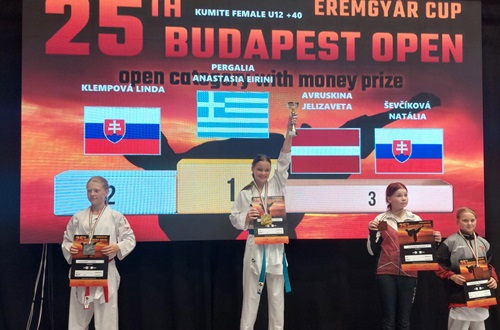 Διάκριση της μαθήτριας Αναστασίας Περγάλια ΔΚΨ