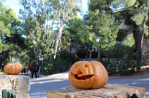 Happy Halloween!