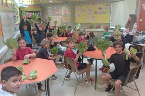 Athens College Elementary School Environmental and Gardening - Our harvest