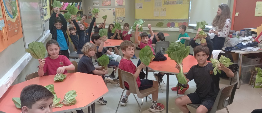 Athens College Elementary School Environmental and Gardening - Our harvest