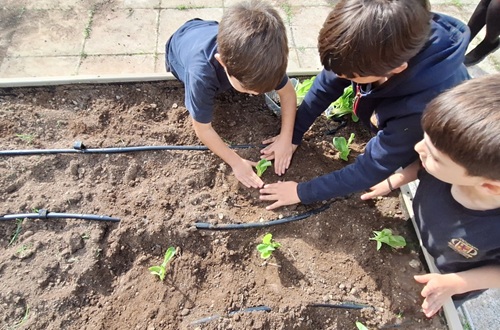 Athens College Elementary School - The Little Gardeners of Grade 2: Learning through nature!