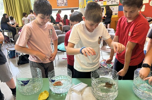 Athens College Grade 6 students cooperate with Grade 4 students of Dionysos Elementary School