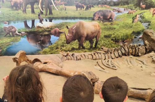 Athens College Elementary School Grade 3 - A special experience at the Paleontology Museum