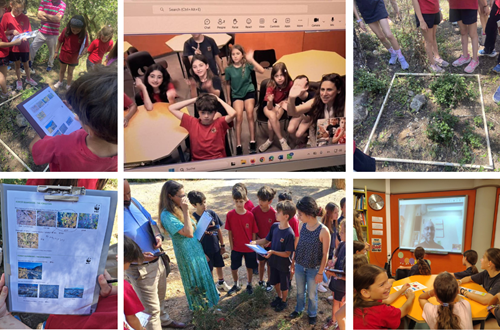 Athens College Elementary School – English Department: Participation in the European eTwinning project "Forest Guardians"