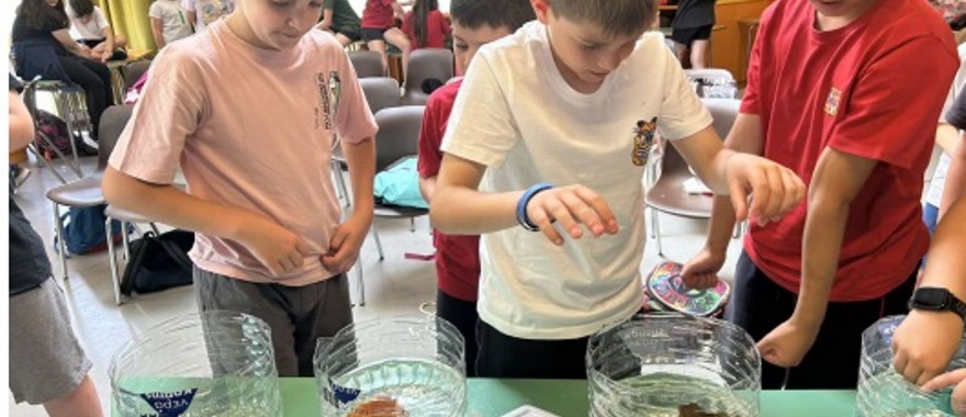 Cooperation of Athens College Elementary School with 1st Elementary School of Dionysos