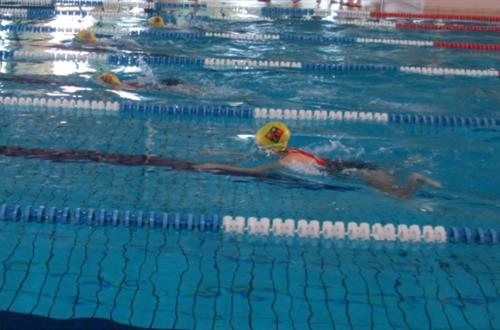 Εσωτερικοί Αγώνες Κολύμβησης Γυμνασίων