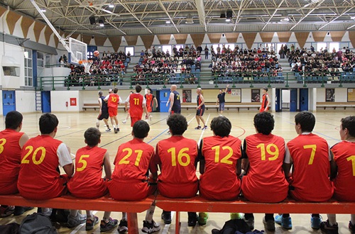 Friendly Basketball Game