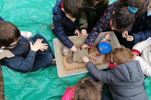 Pre-Kindergarten visits the Kokotos Estate