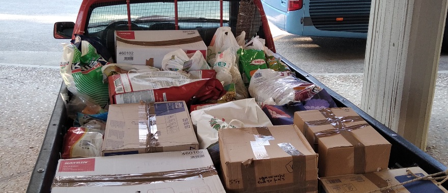 Athens College Elementary School Organizes Stray Animal Food Drive