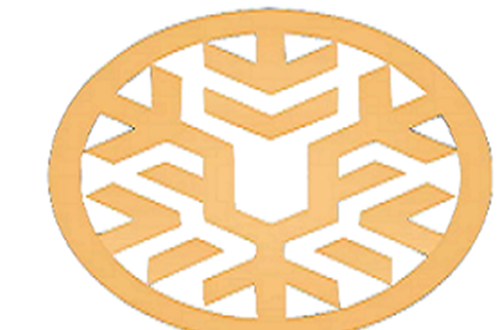 Distinction for Psychico College High School Student in the International Economics Olympiad Winter Challenge – IEOx WiC