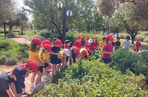 Kindergarten "J. M. Carras" visits the Attica Botanical Park