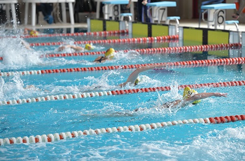 Elementary School Swimming Meets