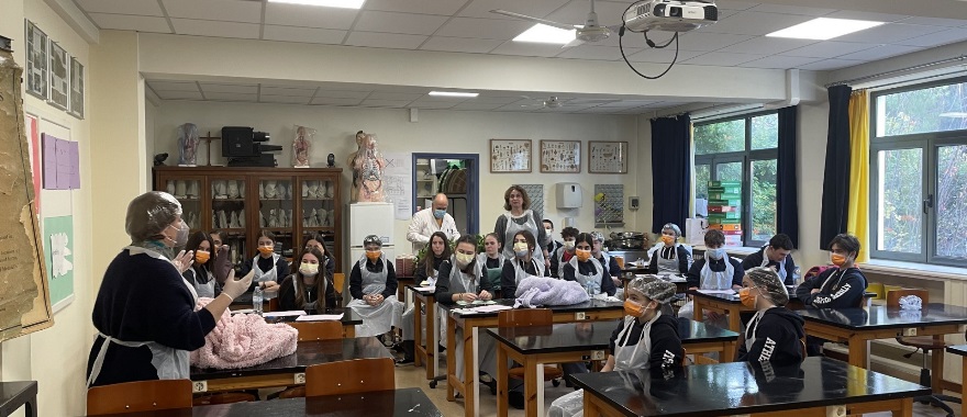 Experiential activity of the Culture Club of Athens College Junior High School