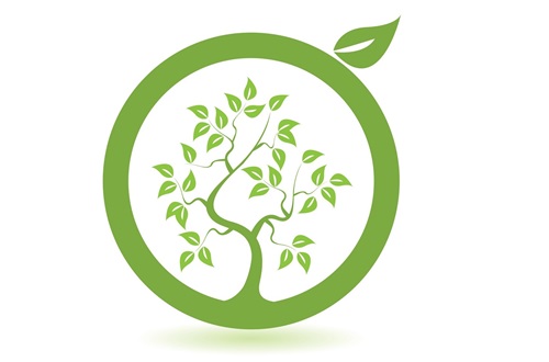 Athens College Elementary School recognized again for minimizing our environmental footprint
