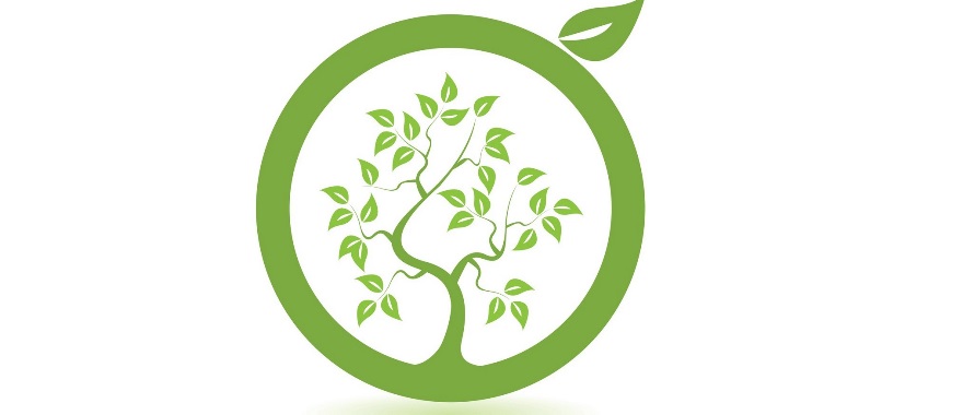 Athens College Elementary School recognized again for minimizing our environmental footprint