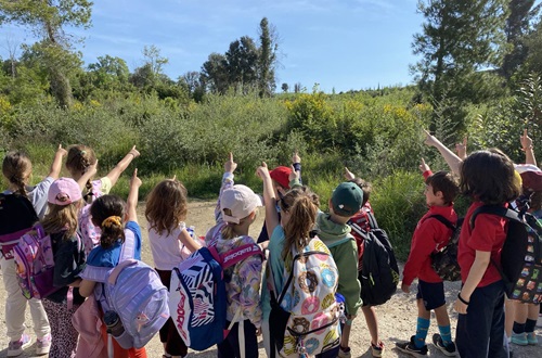 Excursion to Tatoi for College Elementary School students