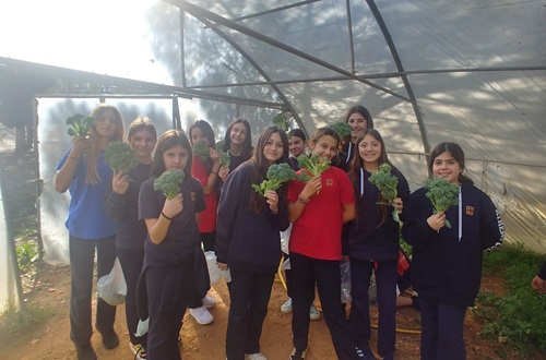 Athens College Elementary School - From seed to plate: Our School garden in full action!